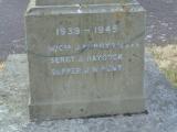 image of grave number 786467